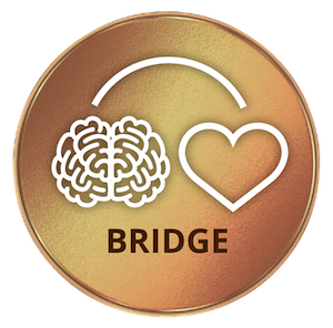 Icone_HeartMath_Bridge
