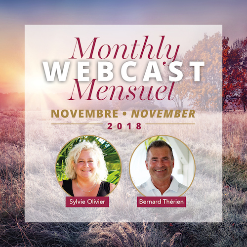 Webcast_FB_Nov18_Bil