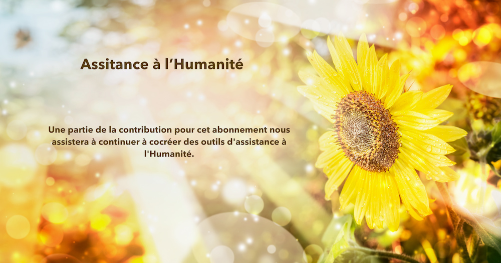 Summer or autumn nature background with pretty sunflower , outdoor scenery