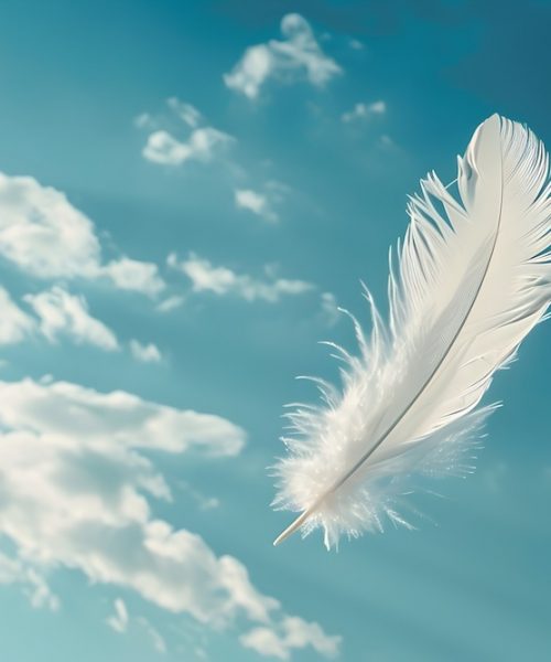 A single delicate white feather is suspended in the soft blue sky its gentle curves and weightless form creating a serene and contemplative image The feather appears to float effortlessly evoking a